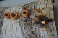 Load image into Gallery viewer, Olivenholz Flesh Tunnel double flared abgerundet Holz - chic-net.de
