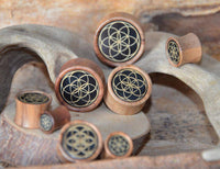 Cargar imagen en el visor de la galería, Olivenholz Horn Inlay Flesh Plug Blume des Lebens - chic-net.de
