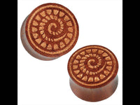 Cargar imagen en el visor de la galería, Organic Holz Plug braun natur Lasergravur Fossilien Schnecke Tribal Expander - chic-net.de
