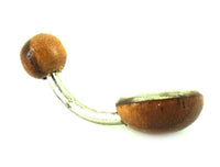Cargar imagen en el visor de la galería, Organic Perlmutt Tamarind Holz braun weiß Bauchnabelpiercing Scheibe Bananenpiercing Edelstahl - chic-net.de
