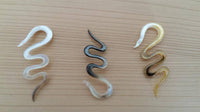 Load image into Gallery viewer, Perlmutt Piercing Schlange Hook 4mm Expander Muschel filigran handgeschnitzt Ohr - chic-net.de
