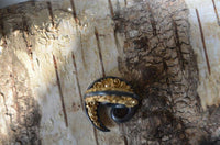 Load image into Gallery viewer, Piercing Gunmetall Brass Spirale Ohrgewicht 5mm grau gold - chic-net.de
