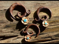 Load image into Gallery viewer, Piercing Ohrring Spirale Holz Blüte Türkis beige braun - chic-net.de
