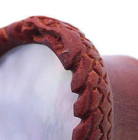 Load image into Gallery viewer, Plug braun Holz gemasert rund Schlange Muster Rand Muschel Inlay Perlmutt Piercing - chic-net.de
