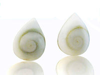 Cargar imagen en el visor de la galería, Shivaauge Ohrstecker Tropfen 12 mm 925er Sterlingsilber Shiva Auge Silberohrstecker Muschel - chic-net.de
