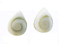 Cargar imagen en el visor de la galería, Shivaauge Ohrstecker Tropfen 12 mm 925er Sterlingsilber Shiva Auge Silberohrstecker Muschel - chic-net.de
