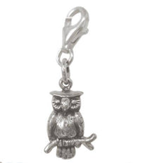 Cargar imagen en el visor de la galería, Silberanhänger Eule Charm Anhänger 925er Sterling Silber Unisex Schmuck - chic-net.de
