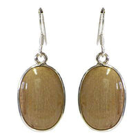 Load image into Gallery viewer, Silberohrringe, Hellbraun, aus Holz, in Silber eingefasst, oval, 925er Sterlingsilber-Bügel, 20x12mmØ - chic-net.de
