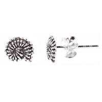 Cargar imagen en el visor de la galería, Silberohrstecker Ohrstecker 925er Sterling Silber Unisex Schmuck Ohrringe Muschel Schnecke - chic-net.de
