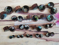 Cargar imagen en el visor de la galería, Sonoholz Plug Yin Yang Inlay Paua Abalone Resin schwarz Tunnel Tribal Expander.
