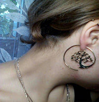 Load image into Gallery viewer, Spiralen Messing Ohrringe gold Nautilus Schnecke - chic-net.de
