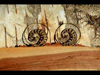 Cargar imagen en el visor de la galería, Spiralen Ohrringe Muschel Segmente Punkte Brass antik golden Tribal Piercing - chic-net.de

