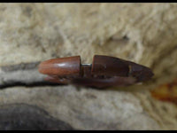 Load image into Gallery viewer, Tribal Fake Piercing Spirale Zacken Holz Edelstahl - chic-net.de
