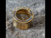 Load image into Gallery viewer, Tunnel Plug Messing Paua Abalone Perlmutt Rim gold - chic-net.de
