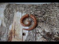 Cargar imagen en el visor de la galería, Fake Piercing Edelstahl Holz Zacken Dehnschnecke - chic - net.de
