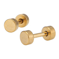 Load image into Gallery viewer, Fake Piercing Edelstahl Schraubverschluss Expander gold Farben Runde Platten 4 mm - chic - net.de
