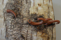 Cargar imagen en el visor de la galería, Fake Piercing Lobe Edelstahl Holz Flames Dehnschnecke - chic - net.de
