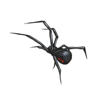 Cargar imagen en el visor de la galería, Klebetattoo temporär Spinne realistisch spitze Beine schwarz rot 1 Bogen - chic - net.de
