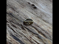 Cargar imagen en el visor de la galería, Nasen Ring Piercing Brass antik gold spiralig Nostril - chic - net.de
