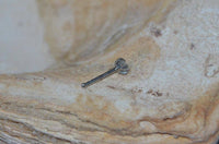 Load image into Gallery viewer, Nostril Piercing Nasenstecker Edelstahl Glitzer Stern - chic - net.de
