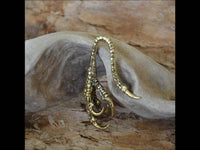 Load image into Gallery viewer, Ohr Piercing Brass gold Krähen Kralle Dehner 2mm - chic - net.de
