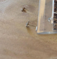 Load image into Gallery viewer, Silber Nasenstecker 0,8 mm Nostril Blume L - Form - chic - net.de
